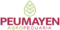Peumayen